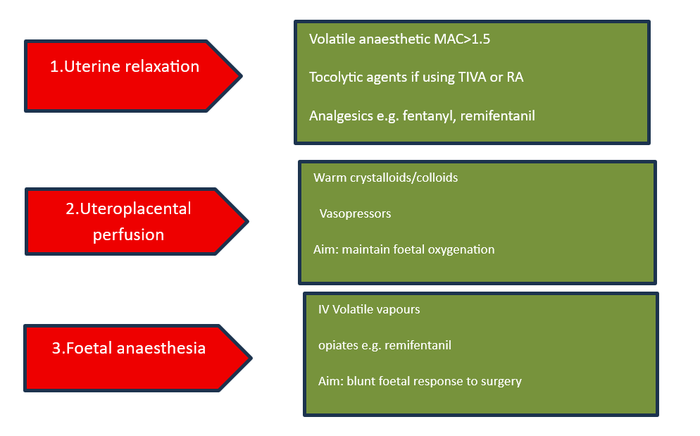 EXIT Procedure: A summary of the practicalities and challenges of managing exit-anaesthesia